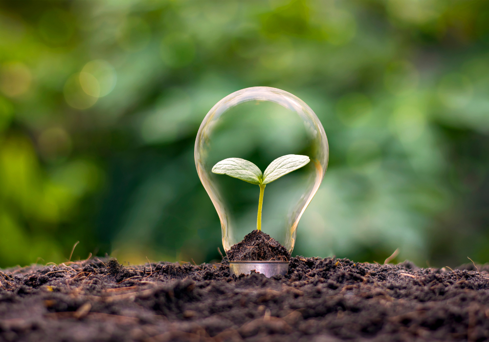 Sustainability Commitment
