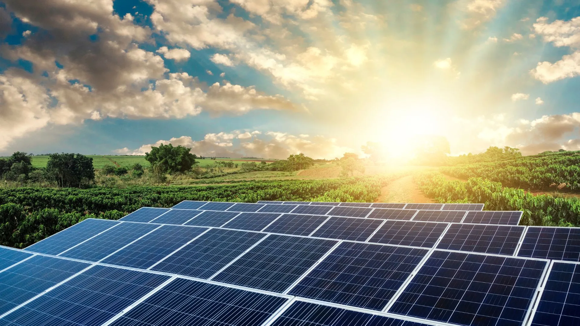 Energy Efficiency