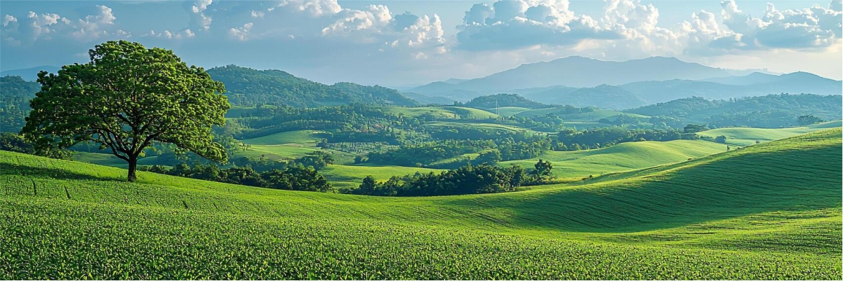 Sustainability Banner